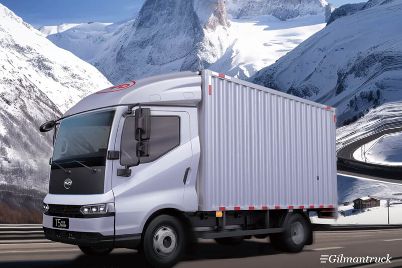 BYD's market share in the new energy light truck segment has surged